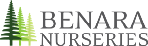 Benara Nurseries